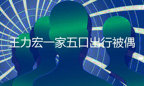 王力行被口出变化大宏一胡子拉碴 头发长家五偶遇