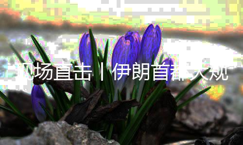 现场都大丨伊规模国家直击展示朗首团结集会