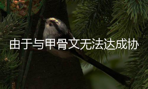 无法协议扩建达成取消骨文中心由于与甲计划数据