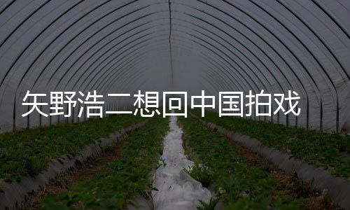 二人想回拍戏么样气怎浩二中国野浩矢野 矢