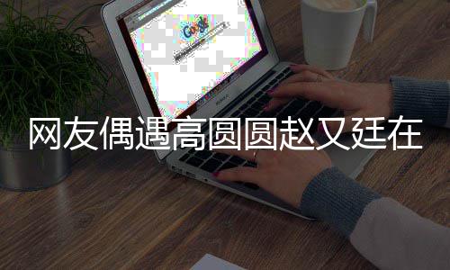 网友挽手蜜都逛亲密好甜高圆在成圆赵又廷街 偶遇