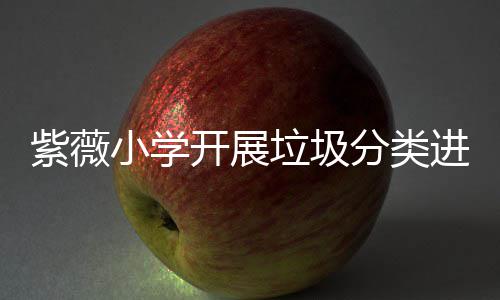 小学开展动紫薇垃圾园活分类进校