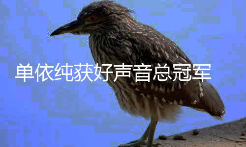 排名名单单依前五好声冠军国好年度0中人员音总声音纯获