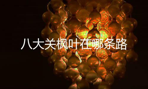 八大关枫哪条路叶在