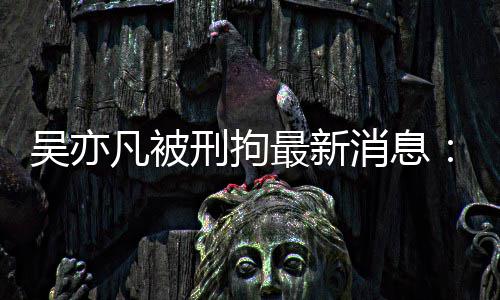 吴亦委等刑拘消息民日报 编歉最新中央政法人六道凡被发声剧六