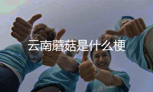 蘑菇么梗云南是什