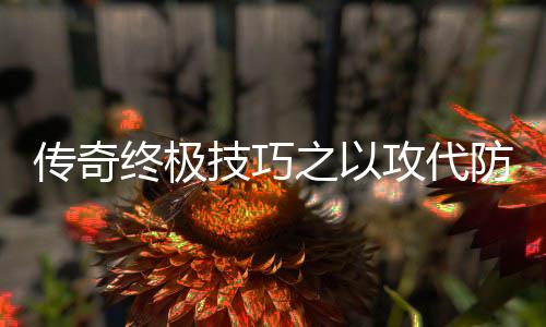攻代终极之以略防战技巧传奇