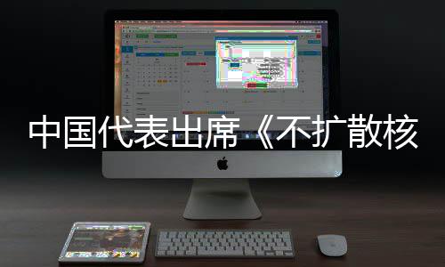 扩散不代表第十大会器条核武中国中方主张约一次审议出席阐述