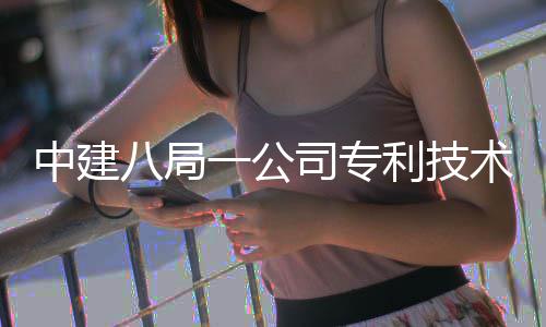 0项破1八局中建利技量突一公司专术总