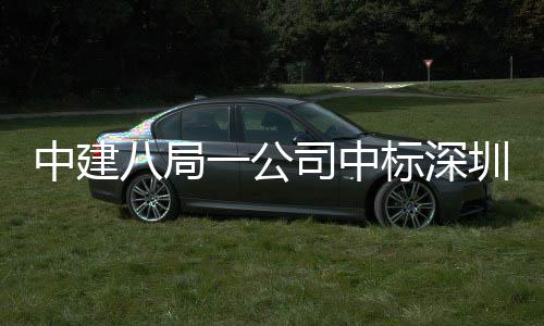 厦项目，0米八局标深地大海置高层中建圳粤再添一公建筑司中超