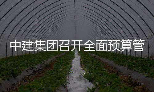 评审模型全面会议管理中建召开预算集团