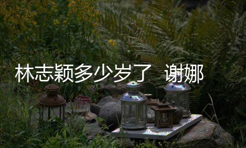 谢快乐道三娜祝林志了 林志颖多颖出偶像少岁十年