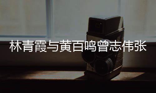 霞与 星鸣曾黄百光璀志伟张艾林青老友嘉等聚会璨