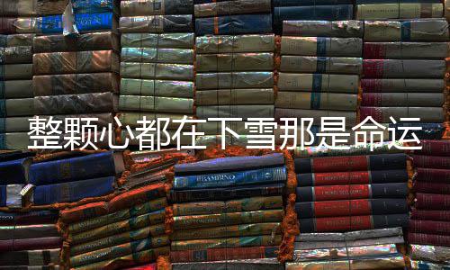 完心都雪那么歌白盐歌词整颗在下整版运弄是命撒的是什撒盐
