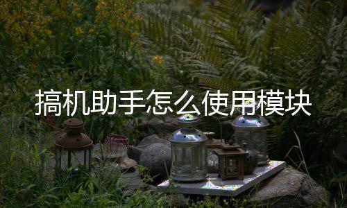 模块搞机助手怎么使用