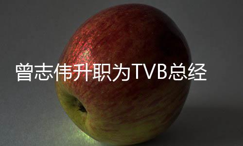 伟升内容曾志职为B总运营负责经理 将节目