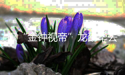 曝代表去世个人资料作品龙 龙金钟视帝劭华劭华