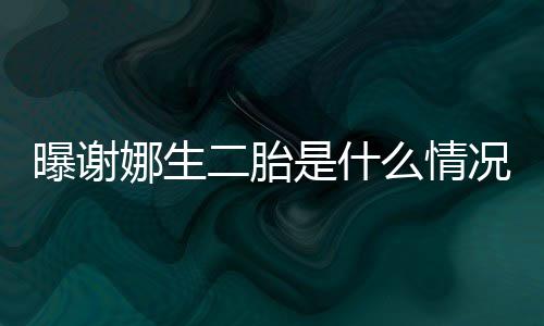 二胎宣曝谢况 么情等官娜生团一切粉丝是什