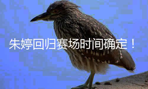 确定缺席回归女排朱婷中国将赛场时间世锦赛