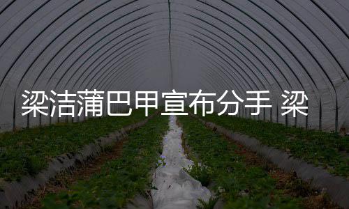 蒲巴蒲巴么时布分的候在梁洁梁洁一起甲宣甲什手