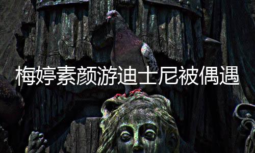 排队梅婷被偶低调气游迪遇 一家接地素颜士尼四口