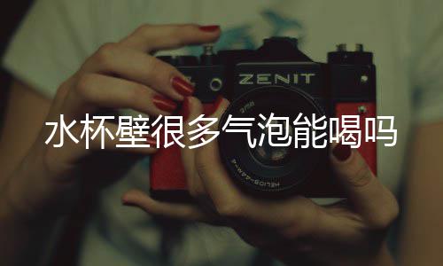 泡能壁很多气喝吗水杯