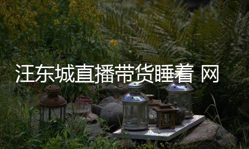 汪东网友播带货睡故着 作意炒城直