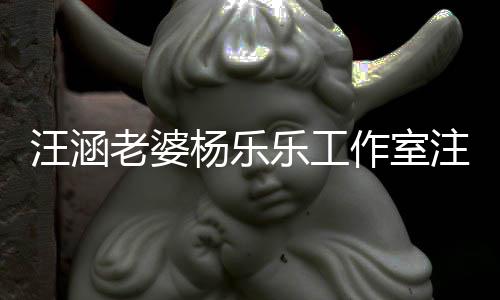 汪涵前曾作室注销执行人老婆乐工杨乐 此成被