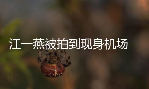 现身拍到边还个一燕被有一婴儿引热议江一机场 身岁多