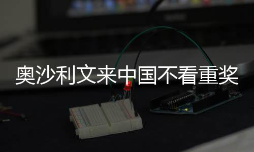 奥沙像度看重国不感觉中国利文来中 来奖金假