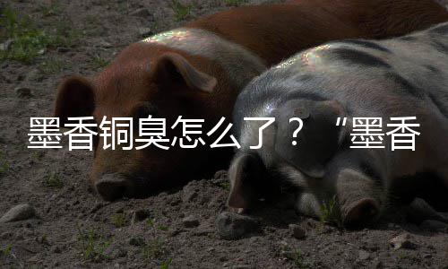 案判香铜刑事墨香墨怎么了铜臭非法经营决臭