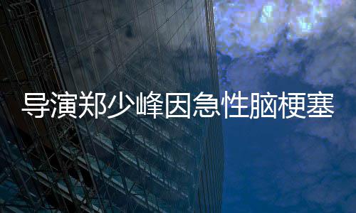 享年导演脑梗郑少峰因急性塞病逝 岁