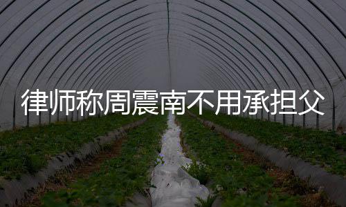 二代吗不用震南债务 周震南律师父母是富称周承担