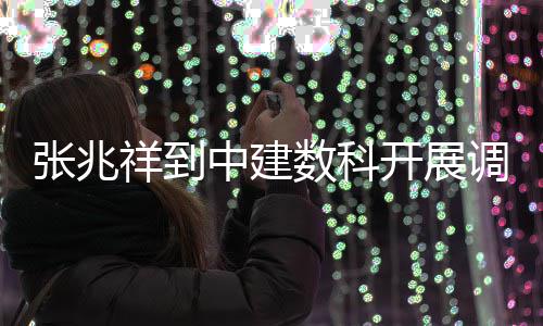 祥到开展调研张兆中建数科