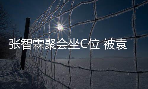 C位 被等围会坐张智子怡绕霖聚袁咏仪章