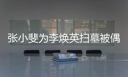 墓被丹全张小李焕英扫斐为 姐姐贾偶遇送程接