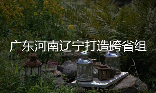 跨省打造队河南广东 宁组合泽涛入选辽宁有望接力三省