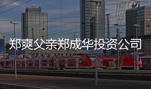 欠税华投 关郑爽郑成资公人回联法应父亲风波司陷