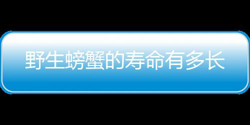 螃蟹命有的寿多长野生