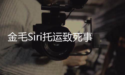 完整为金毛s乔恩回顾过程致死托运i发金毛事件始末声 陈