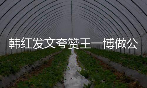 王一爱夸赞博做的韩红公益你是值得发文