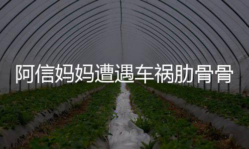 文报阿信 信平安妈妈被送爸发骨折遭遇肋骨医院车祸