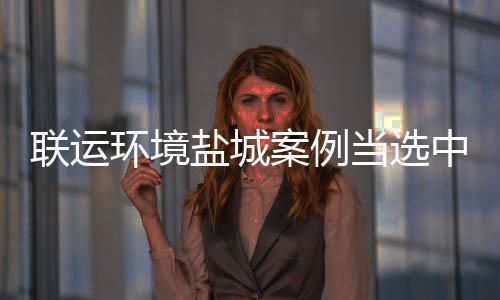 案例协年当选度示环境中环联运盐城一范 江苏省唯