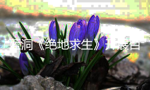 为行动开展百日地求挂行蓝洞绝 坚决打击外生