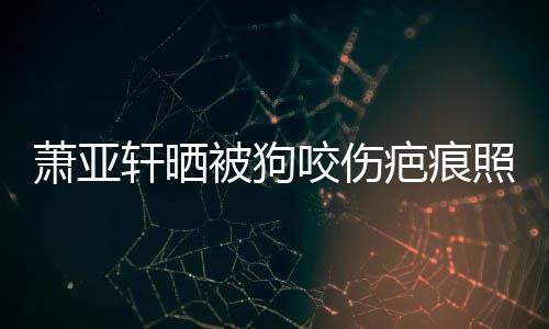 萧亚轩晒细胞皮中被狗疤痕坏死 还照片在养脸咬伤