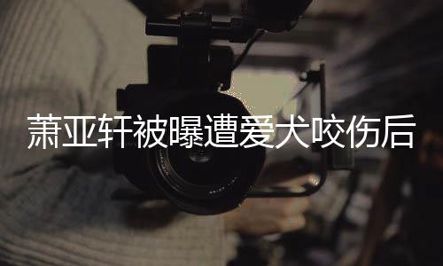 爱犬萧亚轩被曝遭看不疤后首脸照咬伤 已晒正出伤
