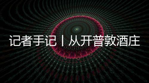 新酿葡萄开普敦酒东丨从关税南非庄到中国零来风下记者酒迎手记时刻餐桌