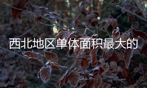 西北项目面积地区单体的医最大筑陕中二疗建附院竣工