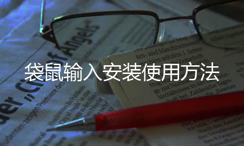 安装袋鼠方法输入使用