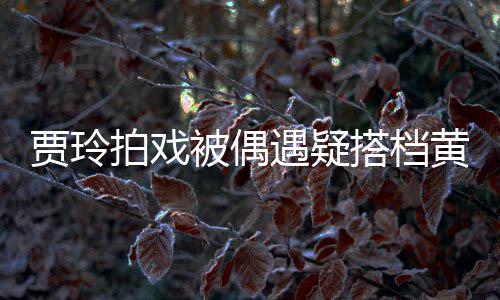拍戏被偶搭档气派黄渤辆房列太遇疑贾玲 四车并